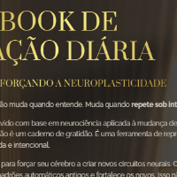 Imagem do produto Workbook de Aplicação Diária - Código Analu
