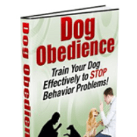 Imagem do produto CÃO OBEDIENTE