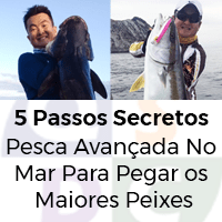 Imagem do produto 5 Passos Secretos Da Pesca Avançada No Mar Para Pegar os Maiores Peixes