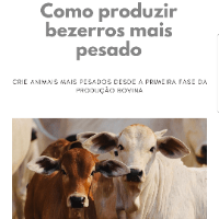 Imagem do produto APRENDA COMO PRODUZIR BEZZEROS PESADOS