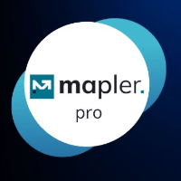 Mapler Pro: Diagnóstico Financeiro Estratégico - Anual