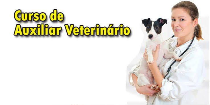 Imagem do produto Curso auxiliar veterinário 