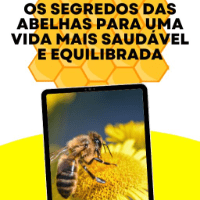 Imagem do produto Os Segredos das Abelhas para uma vida saudável e equilibrada