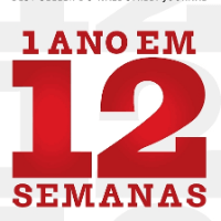 Imagem do curso 1 ano em 12 semanas - Cópia criado em 26/12/2024 23:53:27