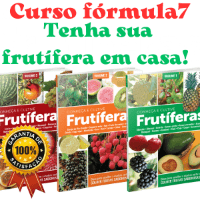 Imagem do produto Tenha uma Planta Frutífera em casa
