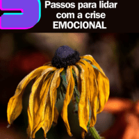 Imagem do curso Como sair da crise emocional em 5 passos