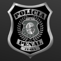 Imagem do produto Apostila PP-CE