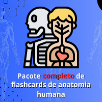 Imagem do produto Pacote Completo de Flashcards de Anatomia