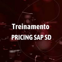 Imagem do produto Treinamento de Pricing SAP SD