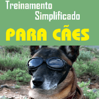 Imagem do curso Treinamento Eficaz: Transforme seu cão em um companheiro Ideal