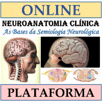 Imagem do produto CURSO "NEUROANATOMIA CLÍNICA" - AS BASES DA SEMIOLOGIA NEUROLÓGICA