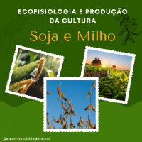Imagem do produto Ecofisiologia e produção da Cultura Soja e Milho
