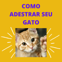 Imagem do produto Como Adestrar seu Gato.