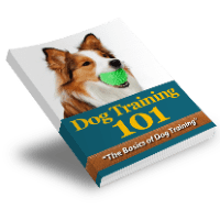 Imagem do produto Dog Training 101