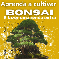Imagem do produto Cultivar bonsai e fazer renda extra