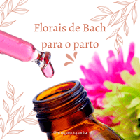 Imagem do produto Florais de Bach para o Parto