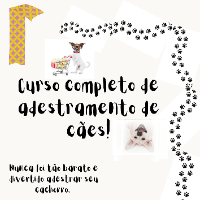 Imagem do curso Curso completo de adestramento de cães.