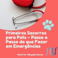 Imagem do curso Primeiros Socorros para Pets – Passo a Passo do que Fazer em Emergências