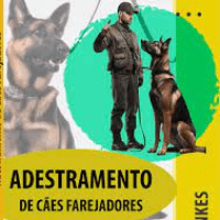 Imagem do curso Adestrador Profissional de cães na Prática.