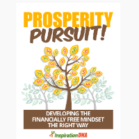 Imagem do produto Perseguindo a prosperidade.