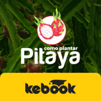 Imagem do produto Como Plantar Pitaya por Alberto Sawada e Dr. Dejalmo Nolasco Prestes