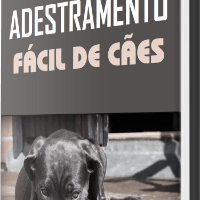 Imagem do curso Adestramento Fácil de Cães