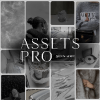 Imagem do curso Assets Like Pro  - Bundle de Elementos para Criadores