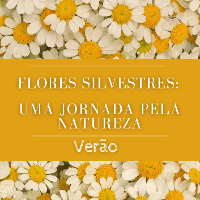 Imagem do curso Flores Silvestres: Uma Jornada Pela Natureza - Verão