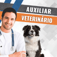 Imagem do produto Curso de Auxiliar de Veterinário