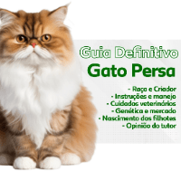 Imagem do curso Como cuidar de gatos: seis dicas para donos novos e experientes