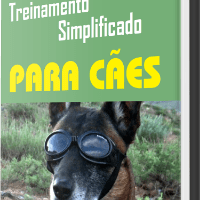Imagem do produto Treinamento Simplificado Para Cães