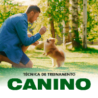 Imagem do curso Técnica de Treinamento Canino