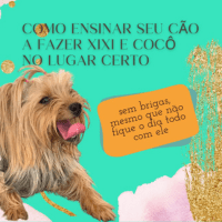 Imagem do produto COMO ENSINAR SEU CÃO A FAZER XIXI E COCÔ NO LUGAR CERTO