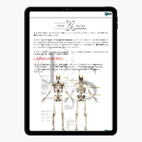 Imagem do produto Entenda de vez a fisiologia anatômica