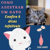 Como Treinar Gato: Dicas Práticas e Eficazes para Adestramento