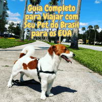 Imagem do produto Guia Completo para Viajar com Seu Pet do Brasil para os EUA: Tudo Sobre Viagens Aéreas com Cães