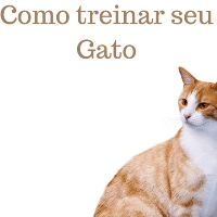 Imagem do produto Como treinar seu Gato