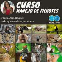 Imagem do curso Curso Inédito de Manejo de Filhotes