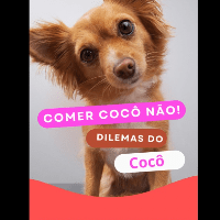 Imagem do produto Ebook “Como lidar e ensinar o seu cachorro a não comer as próprias fezes