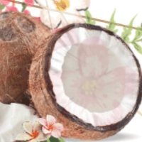 Imagem do produto RECEITAS DE BOLOS PARA FAMÍLIA