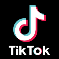 Imagem do curso Apresentando os 8 segredos para o sucesso de marketing com TIK TOK