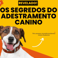 Imagem do produto Os segredos do Adestramento Canino