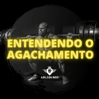 Imagem do produto Vídeo Aula Entendendo o Agachamento + E-book + Artigos