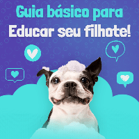 Imagem do produto Guia básico para educar o seu filhote!