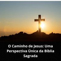 Imagem do produto O Caminho de Jesus: Uma Perspectiva Única da Bíblia Sagrada