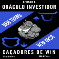 Imagem do curso Mini Índice e Mini Dólar: Caçadores de Win