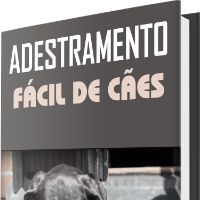 Imagem do produto Adestramento fácil de cães