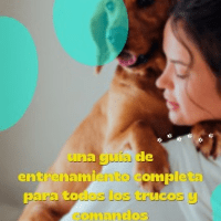 Imagem do produto Domar a tu perro en casa: una guía de entrenamiento completa para todos los trucos y comandos