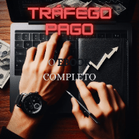 Imagem do curso Tráfego Pago- O E-book completo
