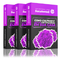 Imagem do curso Empreenda com Suculentas -